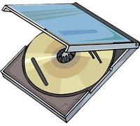 Best of the Stray Cats