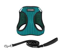 Best Pet Supplies - Pettorina a rete per tutte le stagioni e guinzaglio riflettente per cani da 1,5 m, con manico in neoprene, per cuccioli di taglia piccola, media e grande, colore: turchese (2 tonalità), XS