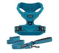 Best Pet Supplies Voyager - Pettorina e guinzaglio per cani con doppio attacco da esterno | Pettorina per passeggiate con animali domestici NO-Pull - Turchese, XS (busto: 33-43 cm)