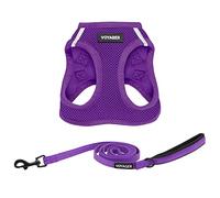 Best Pet Supplies Voyager - Pettorina in rete per tutte le condizioni atmosferiche e guinzaglio riflettente per cani da 1,5 m, con manico in neoprene, per cuccioli di taglia piccola, media e grande,