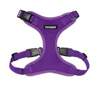 Best Pet Supplies Voyager Pettorina per animali domestici Step-in Lock - Maglia per tutte le stagioni, imbracatura regolabile per cani e gatti viola (finiture abbinate), S (busto: 33-50,8 cm)