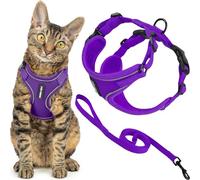 Best Pet Supplies Voyager - Set di pettorina e guinzaglio per gatti a prova di fuga con cuciture riflettenti, manico in neoprene da 1,5 m, supporta gatti piccoli, medi e grandi, gattini, viola, M