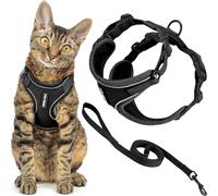 Best Pet Supplies Voyager - Set di pettorina e guinzaglio per gatti a prova di fuga con cuciture riflettenti, manico in neoprene da 1,5 m, supporta gatti piccoli, medi e grandi, gattini, nero, M