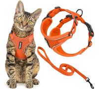 Best Pet Supplies Voyager - Set di pettorina e guinzaglio per gatti a prova di fuga con cuciture riflettenti, manico in neoprene da 1,5 m, supporta gatti piccoli, medi e grandi, gattini, arancione, M