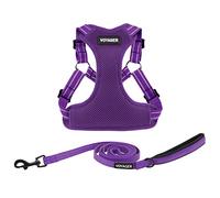 Best Pet Supplies Voyager - Set di pettorina regolabile per cani con strisce riflettenti, per camminare, resistente, senza tiro, con guinzaglio ad anello a D, traspirante per tutte le stagioni, viola,