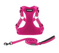 Best Pet Supplies Voyager - Set di pettorina regolabile per cani con strisce riflettenti, per camminare, resistente, senza tiro, con guinzaglio con anello a D, traspirante, per tutte le stagioni,