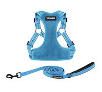 Best Pet Supplies Voyager - Set di pettorina regolabile per cani con strisce riflettenti, per camminare, resistente, senza tiro, con guinzaglio con anello a D, traspirante, per tutte le stagioni,