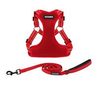Best Pet Supplies Voyager - Set di pettorina regolabile per cani con strisce riflettenti, per camminare, resistente, senza tiro, con guinzaglio con anello a D, traspirante, per tutte le stagioni,