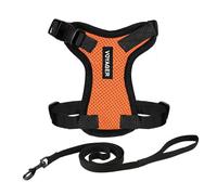 Best Pet Supplies Voyager Step-In, Set di pettorina regolabile per gatti con guinzaglio con manico in neoprene da 1,5 m, supporta gatti di taglia piccola, media e grande, arancione/finitura nera, XXS