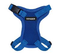 Best Pet Supplies Voyager Step-In, Set di pettorina regolabile per gatti con guinzaglio con manico in neoprene da 1,5 m, supporta gatti di taglia piccola, media e grande, blu reale, XXXS