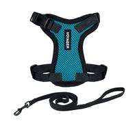 Best Pet Supplies Voyager Step-In, Set di pettorina regolabile per gatti con guinzaglio con manico in neoprene da 1,5 m, supporta gatti di taglia piccola, media e grande, turchese/finitura nera, XXS