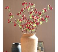 BestAlice 6 rami artificiali di melograno, 65 cm rami di melograno finti con 15 piccoli frutti, piante vegetali di simulazione per decorazioni fai da te, rosso