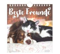 Beste Freunde 2027: Postkartenkalender 16x17 cm mit 12 Tierfreundschaftsmotiven, Tisch- und Wandkalender, 12 Postkarten zum Heraustrennen