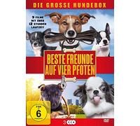 Beste Freunde auf vier Pfoten