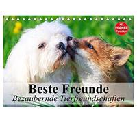 Beste Freunde. Bezaubernde Tierfreundschaften (Tischkalender 2026 DIN A5 quer), CALVENDO Monatskalender: Besondere Tierfreundschaften in wunderschönen Bildern