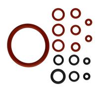 Bestgle 60 Pezzi 7 Misure O-Ring Assortimento Kit, Guarnizioni O-Ring Adatta per Macchine da Caffè Saeco, Philips, Spidem e Gaggia, Guarnizioni in Gomma di 24 Dimensioni per Idrauliche Tubi Isolati