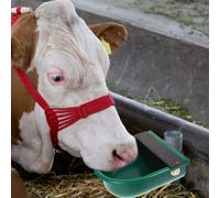 Bestiame Waterer Maiale Waterer Distributore Automatico Di Acqua Per Le Vacche