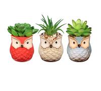 BESTOMZ Piante grasse artificiali e fioriere a forma di gufo, 3 piante grasse artificiali decorative finte per piante grasse finte con vasi per interni/esterni/soggiorno/ufficio