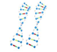 BESTonZON 2 Kit Dna Doppia Interattivo Strumento Didattico Molecolare per Decorazione Scientifica per Aula e Ricerca