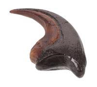 BESTOYARD Modello Realistico di Artiglio di Dinosauro Singola Cresta per Studio Scientifico Scheletro Educativo per Insegnamento e Collezione Didattica
