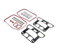 Besttoolifes Kit di guarnizioni per Davidson XR1200/XR1200X 2009-2012 e XL883C/XL883L/XL883R/XL883 Serie 2007-2019 Ricambio per 17030-07-X e 0934-2097 Durevole Nero e Rosso