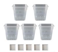 Besttoolifes Vaso quadrato trasparente per orchidee con circolazione dell'aria per un migliore monitoraggio della crescita delle piante (15 cm con vassoio)