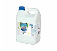 Bestway 59024 Correttore Liquido PH Meno da 5 kg