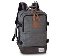 Worldpack Cabin Pro Zaino da giorno 40 cm Scomparto per laptop hellgrau (40290-2800)
