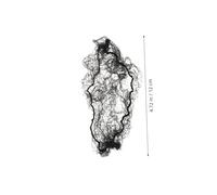 BESTYASH 15 Pezzi Elastiche Trasparenti per Acconciature e Parrucche Bjd Accessori Compatibili per Styling Protezione e Organizzazione in Viaggio