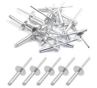 BESTYCHAO 50 rivetti ciechi in alluminio con flangia grande, 4,8 mm x 25 mm, confezione da 50 (argento)