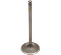 Beta 525 RR Enduro 4T 2009 Valvole Prox Acciaio 28.6520-2