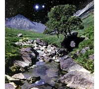 The Beta Band The Beta Band (Vinyl LP) 12" Album with CD