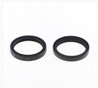 BETA ENDURO RR RACING 430 KIT PARAOLIO FORCELLA NOK 48X58X9 2020 2024