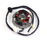 BETAMOTOR TEMPO 16 50 STATORE 6 POLI CON PIASTRA IMP DUCATI 1996 1999