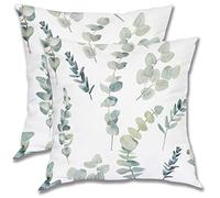 BETGINY Confezione da 2 federe quadrate color verde salvia, 45 x 45 cm, motivo rami di eucalipto acquerello, per camera da letto, casa, divano, decorazione primaverile, con foglie verdi e foglie verdi