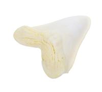 BETOOKY Modello Gn-9029 di Dente di Squalo in Resina Beige Testa di Animale e Texture Scheletrica Dettagliata, Portatile per Collezionisti e Studi Artistici