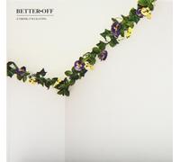 Better Off (I Think) I'm Leaving (CD)