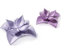 Betty Bossi set 2 pezzi macchina plastica ravioli e dumpling