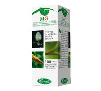 BETULA PUBESCENS 100ML MG