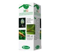 Betula Pubescens 100ml Mg