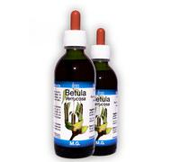 Betula Pubescens 50 Ml Mg