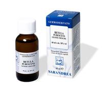 Betula Pubescens Amenti 100 Ml Mg