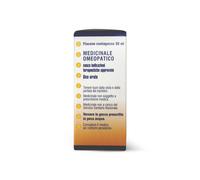 Betula Pubescens Gemme 60ml Mg