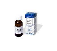 Betula Pubescens Gemme Mg 500 Ml