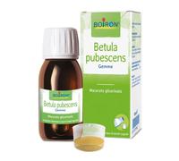 BETULA PUBESCENS MACERATO GLICERICO 60 ML INT
