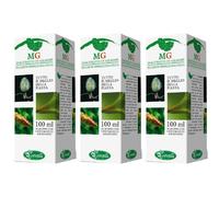 Betula Pubescens Macerato Glicerico 100 Ml 3x100 ml Gocce orali
