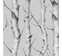 Betulla 3D Carta da Parati Autoadesiva 0.52x3 m Grigio Foresta Rami Albero Pellicola Adesiva per Mobili Impermeabile Carta Adesivo Ispessita Opaco Sticker per Muro Cucina Armadio Cassetto e Scaffali