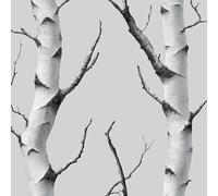 Betulla 3D Carta da Parati Rimovibile Grigio Foresta Rami Albero Autoadesiva Impermeabile Ispessita Opaco Pellicola Adesivo Mobilia Decorativo Rullo Sticker per Cucina Camera da Letto Bagno 0.4x5 m