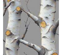 Betulla 3D Carta da Parati Rimovibile Grigio Foresta Rami Albero Autoadesiva Impermeabile Ispessita Opaco Pellicola Adesivo Mobilia Decorativo Rullo Sticker per Cucina Camera da Letto Bagno 0.45x20 m