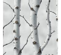 Betulla 3D Pellicola Adesiva per Mobili Grigio Foresta Rami Albero Carta da Parati Rimovibile Autoadesiva Opaco Ispessita Wallpaper Impermeabile Rullo Sticker per Cucina Armadio Porta 0.45x10 m